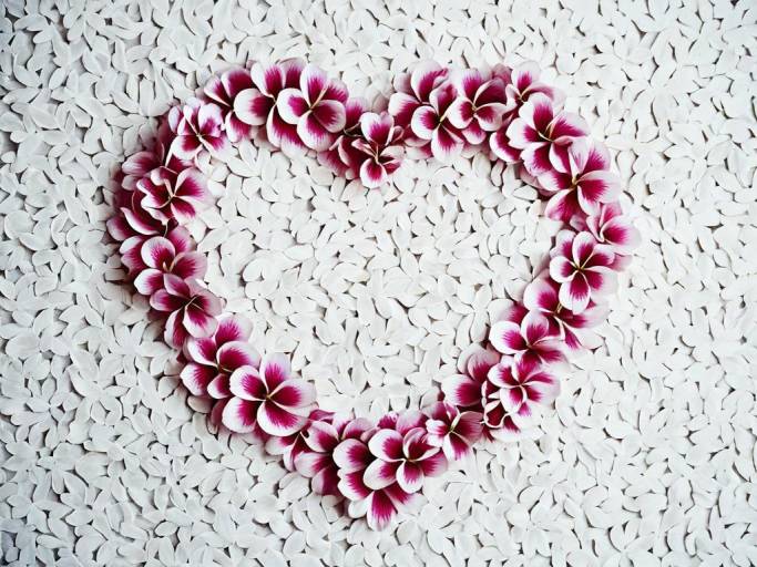 Heart-Shaped Flower Petals Wallpaper
