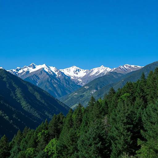 Photograph of a vibrant mountain landscape with snow-capped peaks under a clear blue sky, surrounded by dense, green coniferous forest.