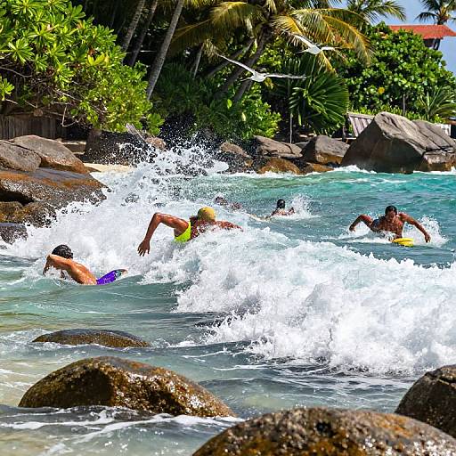 Photograph of four swimmers in colorful swim trunks battling turbulent ocean waves near rocky shoreline, surrounded by lush green foliage.