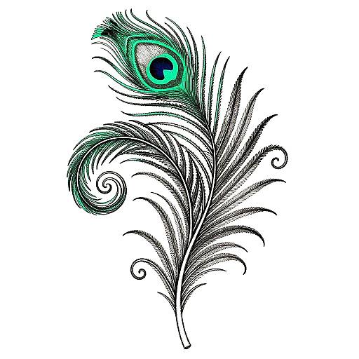 Ornate Peacock Feathers Drypoint Etching