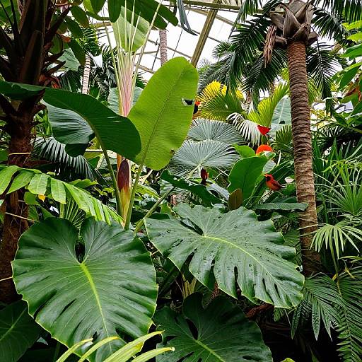 Jardin botanique tropical hyperréaliste