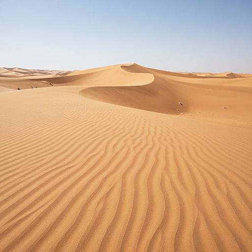 Photograph of a vast, sunlit desert with rippled sand dunes stretching to the horizon under a clear, blue sky.