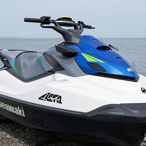 SEADOO RXT-X300 with Kawasaki Speakers