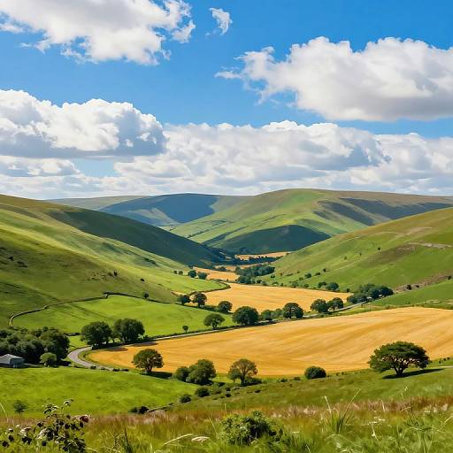 Vibrant Cambrian Mountains Landscape