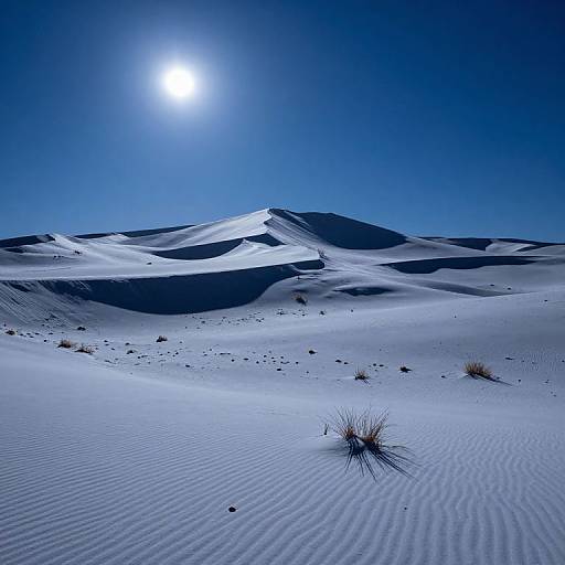 Moonlit Snowy Dunes at Great Sand Dunes