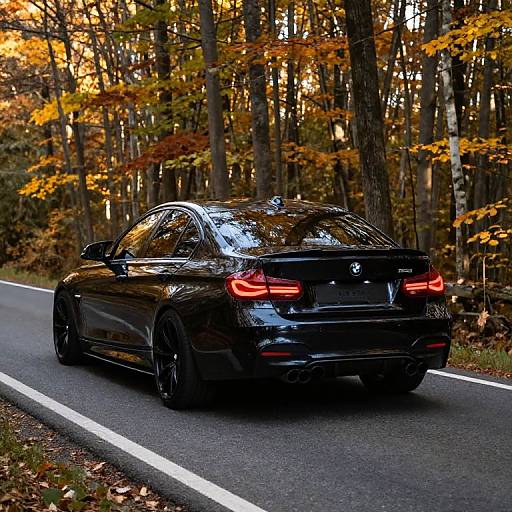 Photograph of a sleek, black BMW sports car with glowing red taillights driving on a road through a forest with autumn-colored leaves.