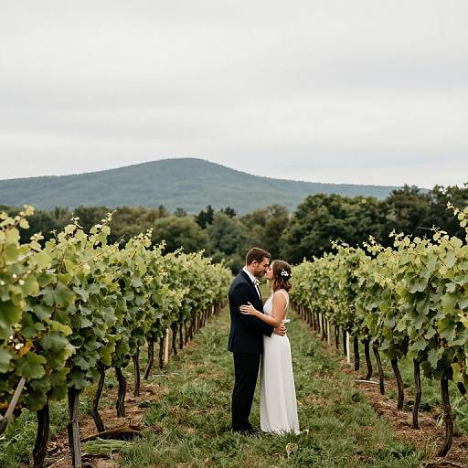 Photograph of a couple kissing in a vineyard, with the groom in a black suit and the bride in a white dress, mountains in the background