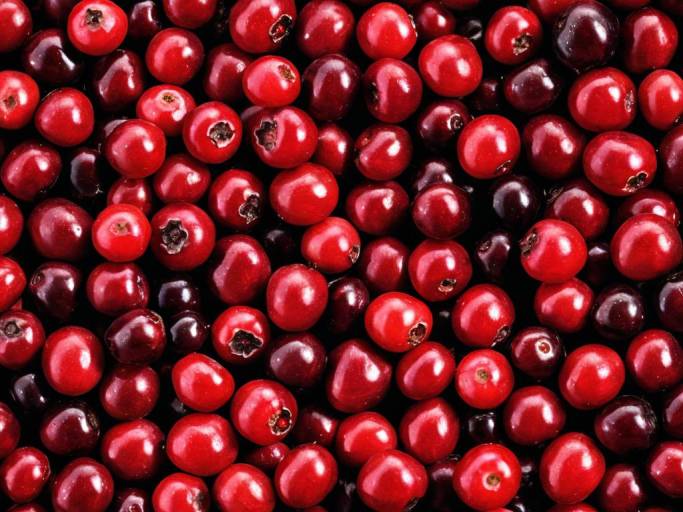Vibrant Close-up of Cranberries Wallpaper