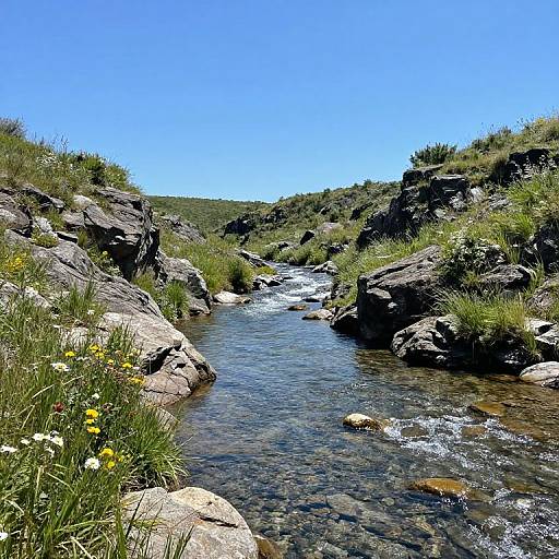 Tranquil Riachuelo Amidst Rocky Banks