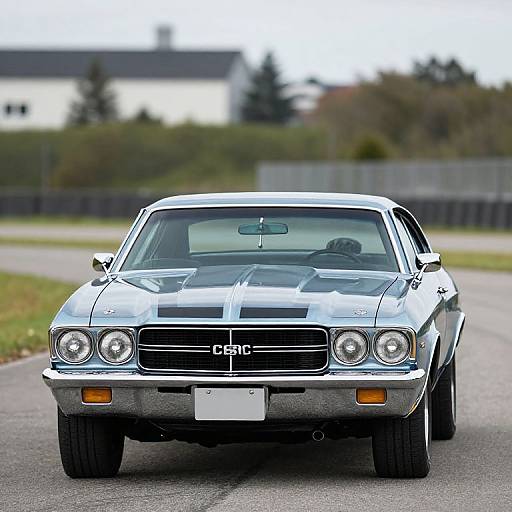 Photograph of a classic, silver 1970s Chevrolet Chevelle SS with black racing stripes, parked on a suburban street, front view.