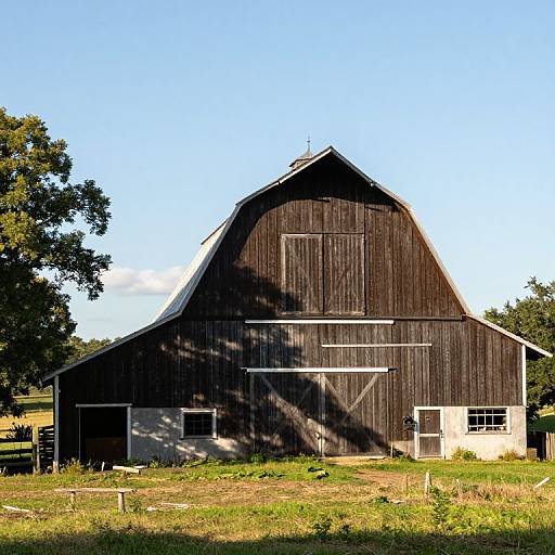 Photograph of a rustic, weathered black barn with a white lower section, standing in a sunlit, grassy field with trees.