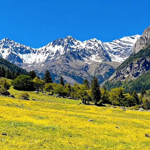 Vibrant photograph of a sunny meadow with yellow wildflowers, green trees, and snow-capped mountains under a clear, bright blue sky.