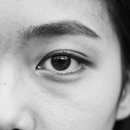 Monochrome Half-Face Eye Portrait