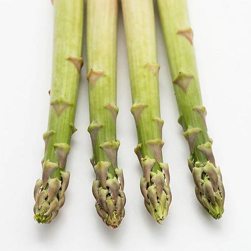 Close-Up of Fresh Green Asparagus