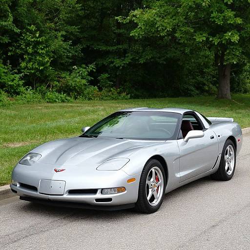 1999 Chevrolet Corvette for Sale