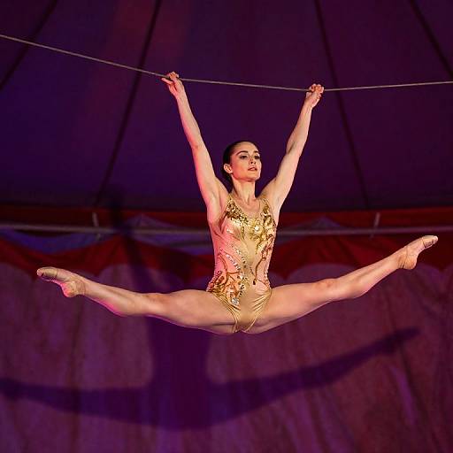 Photograph of a female aerialist in a gold sequin leotard, performing a split while hanging from a rope, under purple and red circus