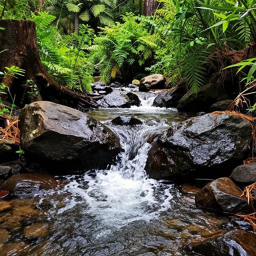 Vibrant Creek with Rushing Water