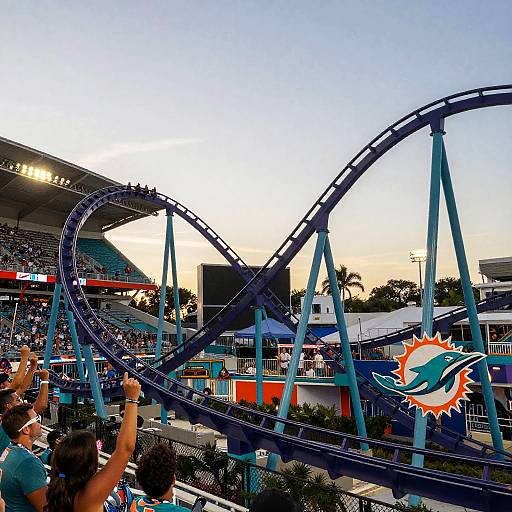 Miami Dolphins Roller Coaster Thrill