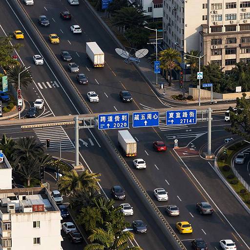 Vector Overhead Urban Highway Network
