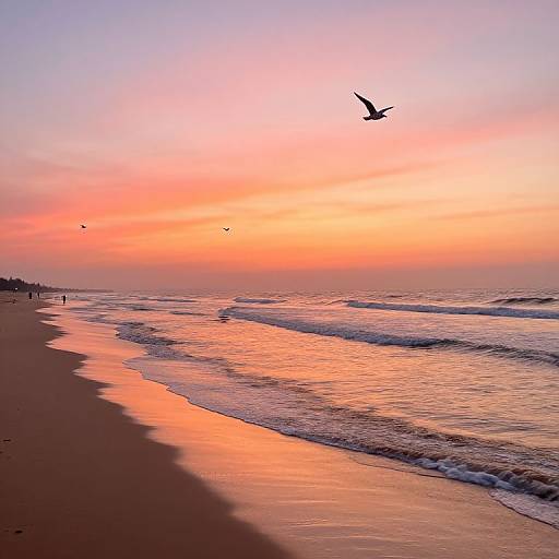 Photograph of a sunset beach with pink-orange sky, gentle waves, and silhouetted birds flying over wet, reflective sand.
