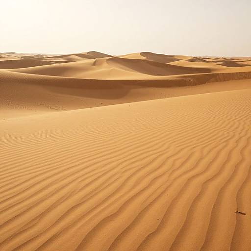 Endless Golden Desert Dunes