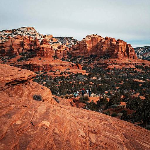 Biohacking Sedona Red Rock Landscape