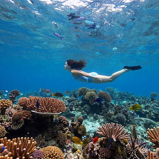 GoingMary in Serene Underwater World