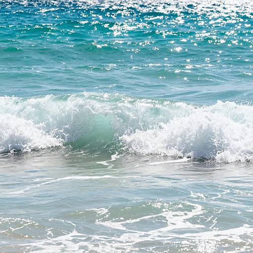 Cresting Turquoise Waves at Shore