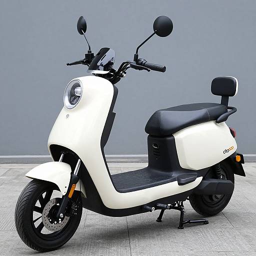 Electric Scooter Citycoco 3000W Sale