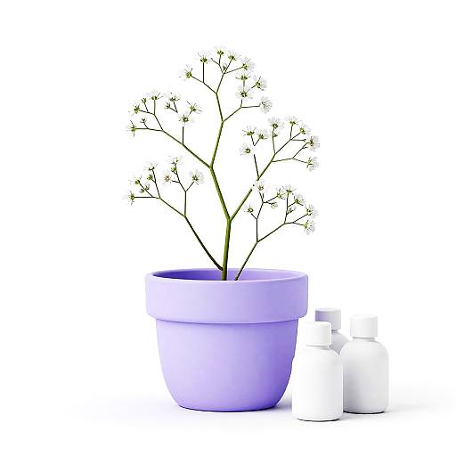 Pastel Lilac Pot with Baby's Breath