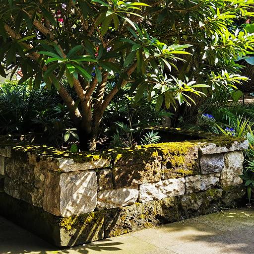 Natural Stone Retaining Wall Garden