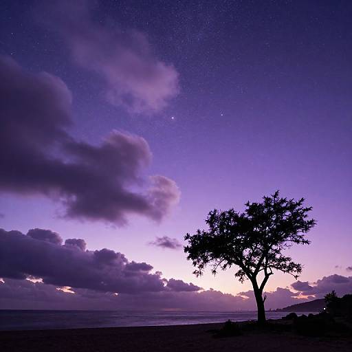 Silhouetted tree against a vibrant purple and pink twilight sky, scattered clouds, and a starry night backdrop. Photographic image.
