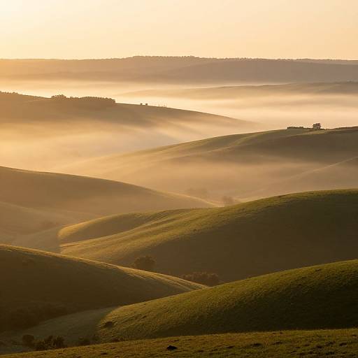 Sunlit, misty hillscape photograph showing rolling green hills with soft, golden light and layers of fog creating a serene, ethereal atmosphere.
