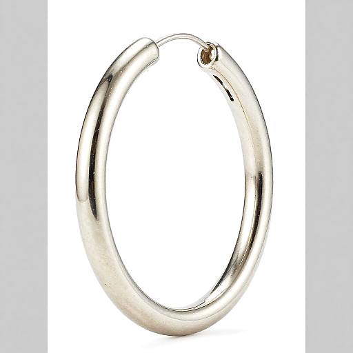 Shiny Silver Hoop Earrings Photo