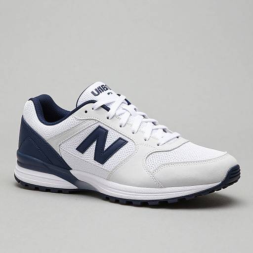 '70 GTX Classic Muscle Car Image