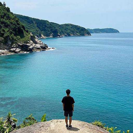 Photograph of a man in black shorts and t-shirt standing on a cliff, gazing at a vast, turquoise ocean with lush, green, forest