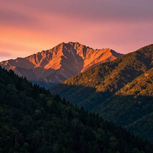 Photograph of a sunlit mountain range at sunset, with vibrant orange and pink hues illuminating rocky peaks, contrasting against dark, forested lower slopes
