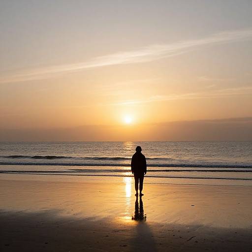 Photograph of a lone silhouetted person standing on a serene beach at sunset, with golden sunlight reflecting on the calm ocean waves and wet sand