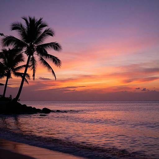 Photograph of a vibrant sunset over a tropical beach with silhouetted palm trees, colorful sky, and calm reflecting water.