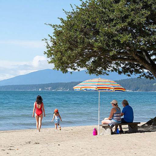 Vibrant Summer Beach Scene Vancouver