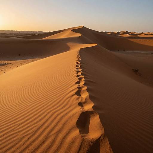 Glowing Night Sand Desert