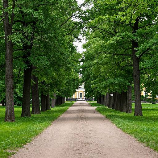 Tranquil Tree-Lined Path in Catherine Park
