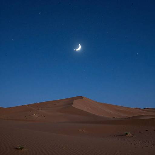 Sahara Night Sky with Crescent Moon
