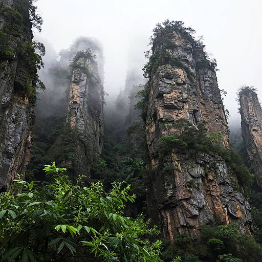 Misty Mountain Landscape Photography