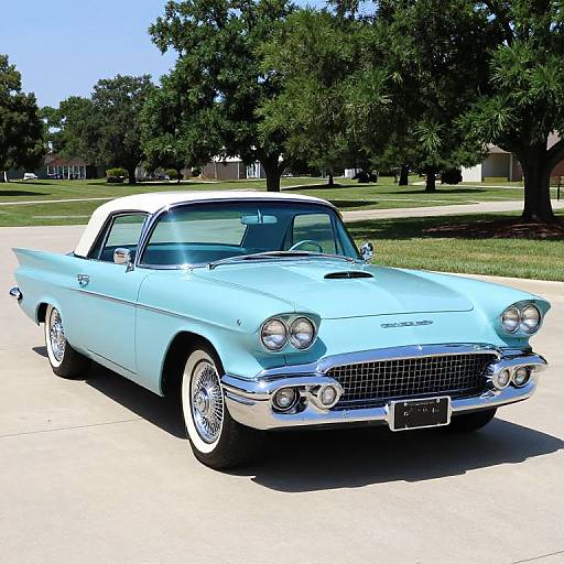 Classic 1956 Thunderbird Car Image