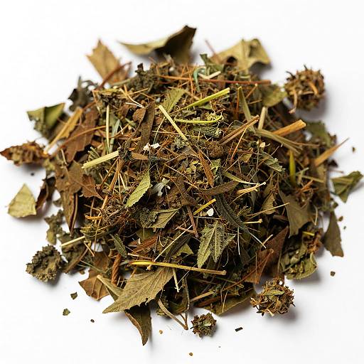 Close-Up of Dried Cannabis Leaves