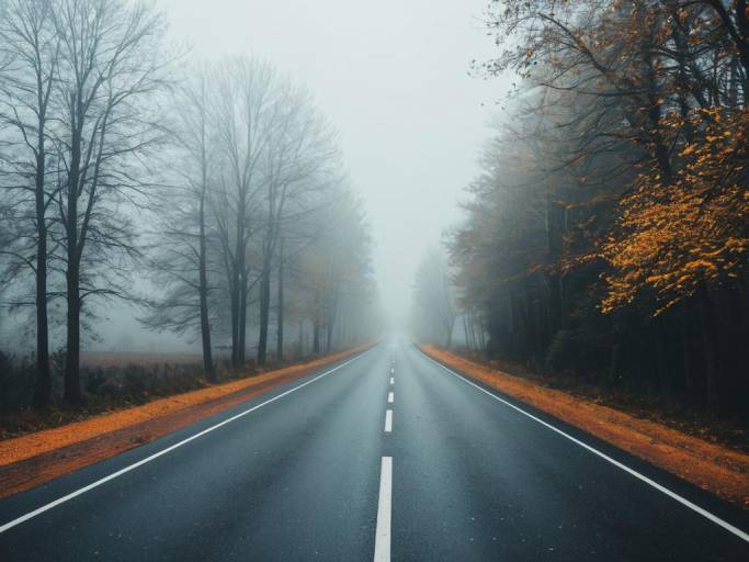 Foggy Autumn Road with Trees Wallpaper