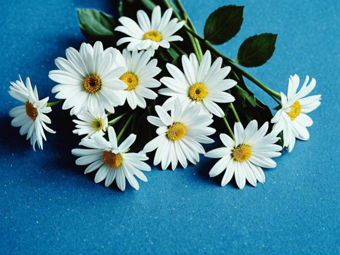 Elegant White Flowers on Blue Background
