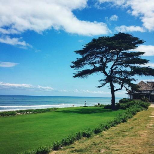 Serene Ocean Landscape with Natural Scenery
