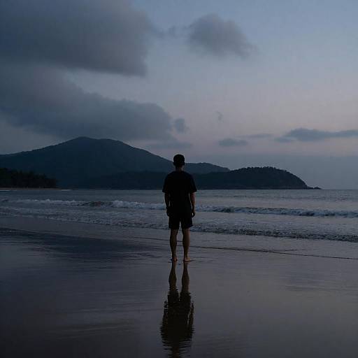 Solitary Reflection on a Dusk Beach
